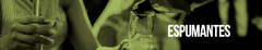 Banner de la categoría Espumantes