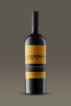 Encuentro Cabernet Sauvignon - Rutini Wines - comprar online