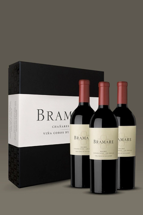 Bramare VD Chañares Malbec - Estuche x 3U. - comprar online