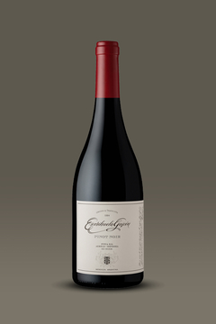 Escorihuela Gascón Pinot Noir - comprar online