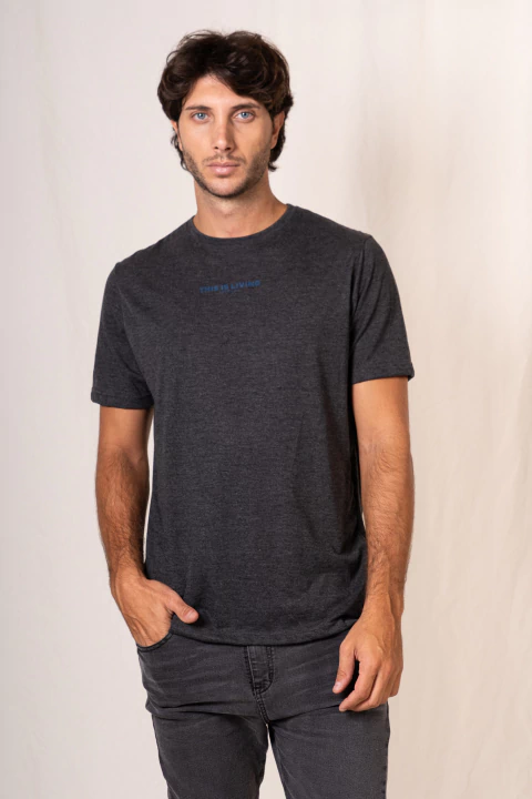 REMERA OLD REGULAR MELANGE OSCURO EST THIS