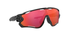 Oakley 0OO9290 48 JAWBREAKER(TM) PRIZM TRAIL TORCH en internet