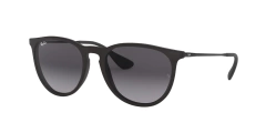 Rayban RB4171L 622/8G ERIKA RUBBER BLACK