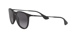 Rayban RB4171L 622/8G ERIKA RUBBER BLACK en internet