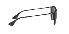 Rayban RB4171L 622/8G ERIKA RUBBER BLACK - NEA.VISIÓN