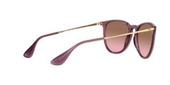 Ray Ban 4171 Erika 6591/14 54 - comprar online