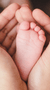 Banner rotativo 4