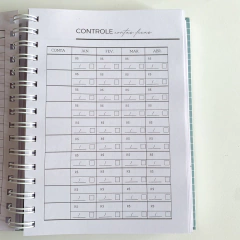 Planner Financeiro na internet