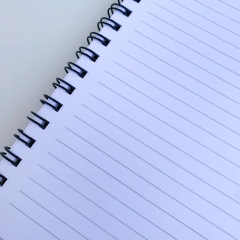 Caderninho medalha milagrosa