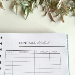 Planner Financeiro na internet