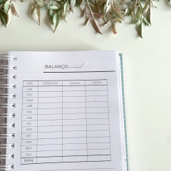Planner Financeiro - comprar online