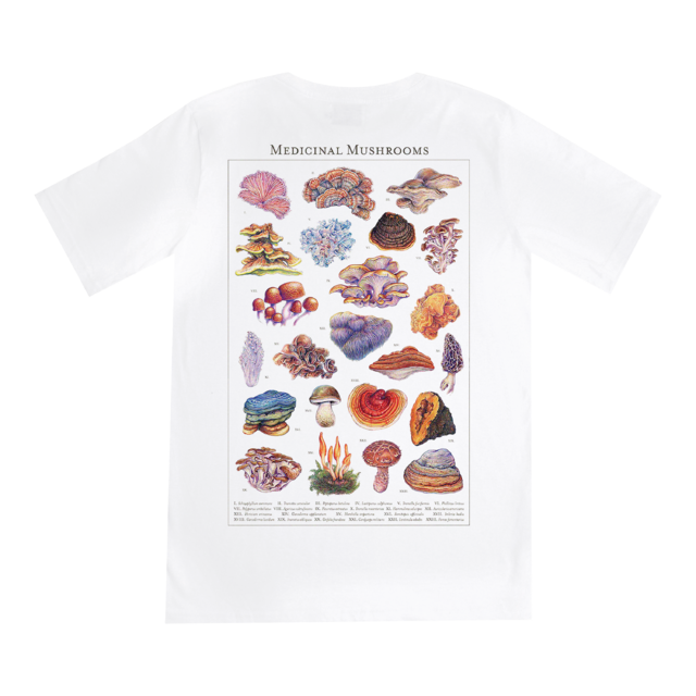 Medicinal Mushrooms thumbnail 2