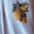CITRUS - NO CHIL