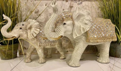 Elefante 28 en internet