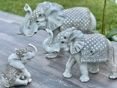 Elefante 28 - Bonnevu