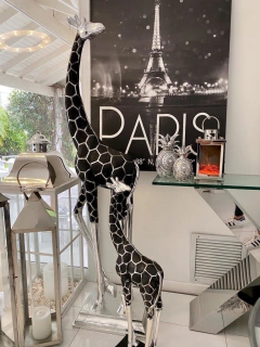 JIRAFA 180 en internet