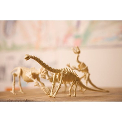 Kit de Escavação de Dinossauro - Braquiossauro - comprar online