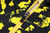 Conjunto de Treino Borussia Dortmund - 24/25 - comprar online