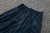 Conjunto de Treino PSG 24/25 - comprar online