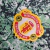 Camisa Manchester United "Stone Roses' - 24/25 na internet