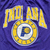 Imagem do Shorts Indiana Pacers