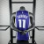 Regata Sacramento Kings Icon Edition Swingman - Domantas Sabonis - loja online