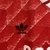Camisa Retro Seleção União Soviética - 1989 - ClubsStar Imports
