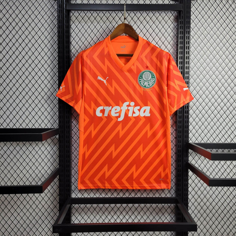 Camisa Palmeiras Goleiro - 24/25