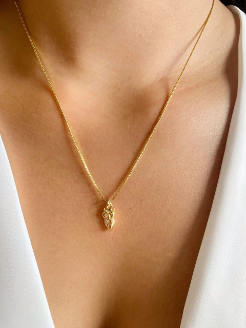 Colar Coruja Pedagogia - Banhado a Ouro