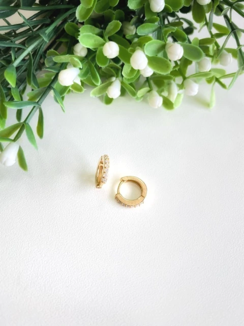 Brinco Argolinha Cravejada - Banhado a Ouro