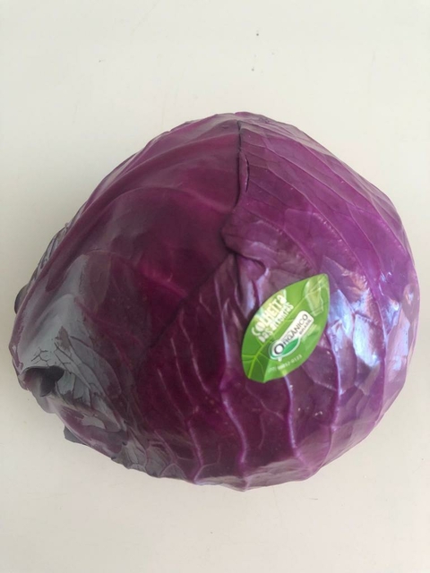 Repolho Roxo Orgânico Kg