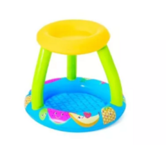 Pileta Fruta con Techo - comprar online