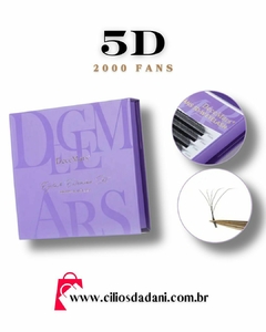 5D Decemars 2000 fans - 0.07D