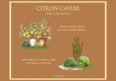 Difusor Citron Caviar 210 ml na internet
