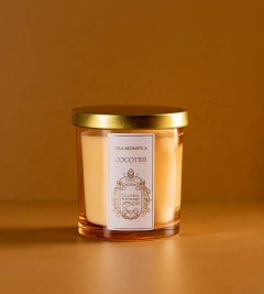 Vela Perfumada Cocotier 220g - comprar online