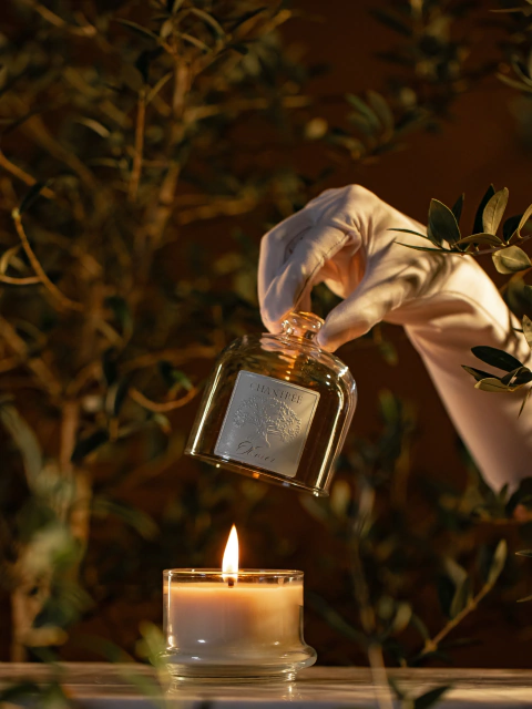 Vela redoma Olivier 160 g - comprar online