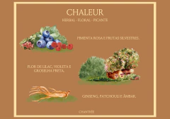 Vela perfumada Chaleur 160 g na internet