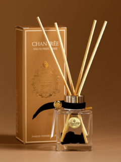 Difusor de perfume para ambiente com pedras. Pedra turmalina negra. Difusor de varetas com cristais. Difusor de palito. Aromatizador de palito. Aromatizador de varetas. Aromatizador. Aromatizador de ambiente. Perfume para a casa. Aromatizador importado. 