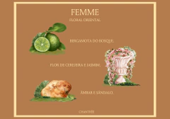 Odorizante em spray Femme 250 ml na internet