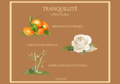 Difusor Varetas Tranquillité 100ml - comprar online