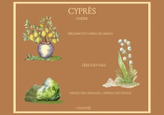 Difusor de Perfume 45 ml Turmalina Negra na internet