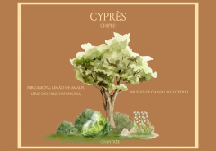 Óleo perfumado Cyprès 10 ml - comprar online