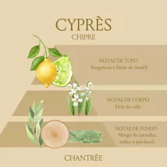 Odorizante em Spray 250ml - Plush Preto - CHANTRÊE