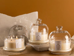 Vela redoma Jardin Frais 330 g - loja online