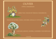 Difusor Olivier 210 ml - CHANTRÊE