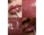 Gloss Labial HOLLYWOOD Disney 100 - Bruna Tavares - Ousada Make e Cosméticos