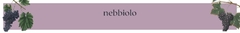 Banner da categoria Nebbiolo
