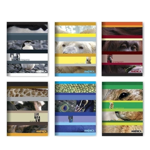 CUADERNO AMERICA TAPA FLEXIBLE X 24 HJS RAYADO