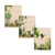 CUADERNO LEDESMA NAT 29/7 X 70 HJS. PUNTEADO X 5 U.