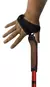 PAR DE BASTONES TREKKING CHAMPAQUI - comprar online